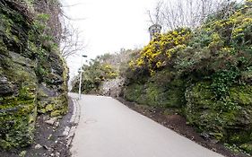 The Rock House - Terrace Apartment - In Heart Of The City